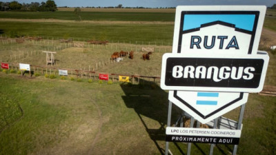 Del Campo al plato: así será el nuevo parador “Ruta Brangus” sobre ruta 9
