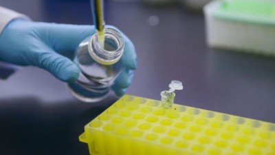 El Gobierno actualizó la normativa para evaluar los organismos obtenidos mediante Nuevas Técnicas de Mejoramiento