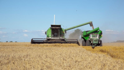 Con una cosecha récord, la comercialización de Trigo avanza a buen ritmo