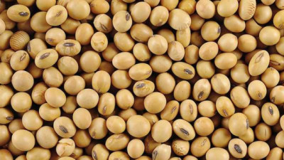 Petróleo cerca de US$100 y tensiones en Medio Oriente dominan el escenario mientras la soja retrocede en Chicago