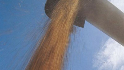 A nivel mundial, el USDA modificó su estimación de producción mundial de maíz