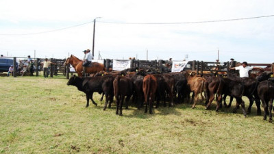 Valores de la hacienda: El mercado local parece estar buscando un nuevo equilibrio de precios