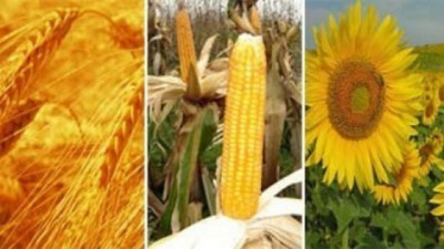 Geopolítica y clima dominan los granos: petróleo en alza y mercados agrícolas bajo máxima cautela