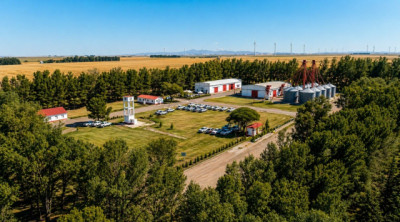 Trigos ACA: el Criadero Cabildo celebra 50 años impulsando genética adaptada y competitiva