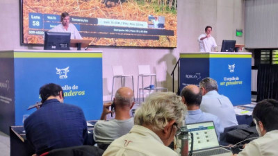 Con récord de remates en abril, Rosgan vendió casi 42.000 cabezas