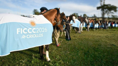 En el año del Mundial, otra selección argentina sale a la cancha: los Caballos Criollos rumbo a la Expo FICCC 2026