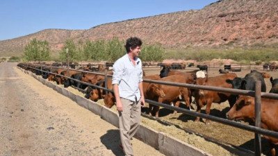 Carne libre de deforestación: convocan a todos los productores ganaderos a inscribirse antes de junio de 2026 en VISEC