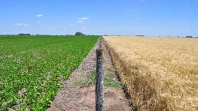 Argentina lleva su liderazgo en bioinsumos a Bruselas: CASAFE impulsa la convergencia regulatoria y el acceso al mercado europeo