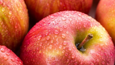 Manzanas argentinas: ¿Qué está pasando?