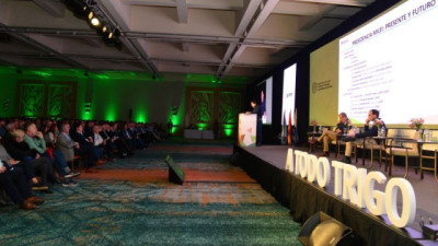 A Todo Trigo: el USDA llevó al cereal a máximos y 