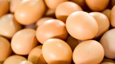 Argentina se consolida como el primer consumidor mundial de huevos según el informe 2025 del instituto latinoamericano del huevo