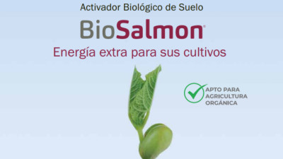Ensayo en Entre Ríos: bioestimulantes lograron hasta 255 kilos más de soja por hectárea