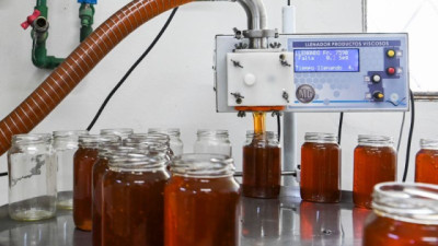 Las exportaciones de Miel alcanzaron récord en volumen y valor de los últimos 20 años