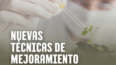 Nuevas tecnologías CRISPR Cas y Normativa 24/2026