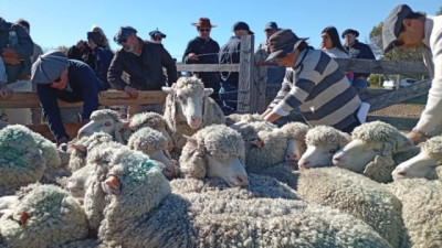 Merino Dohne: “un negocio que cierra por todos lados”