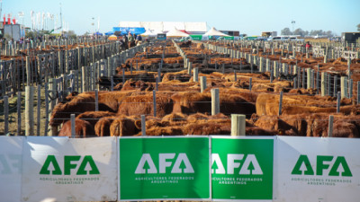 AgroActiva Ganadera 2026: la ganadería vive su gran momento y suma por primera vez un espacio exclusivo para la lechería