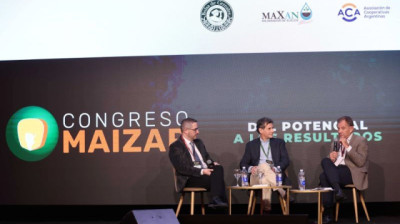 Estabilidad macro y demanda global: el doble viento a favor para el sector Lácteo, que podría duplicar su producción