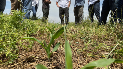 Rotaciones inteligentes: la clave para producir más en un escenario cada vez más incierto
