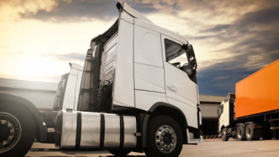BICE: cuotas de leasing se fijan en kg novillo para ganadería y litros leche para tamberos