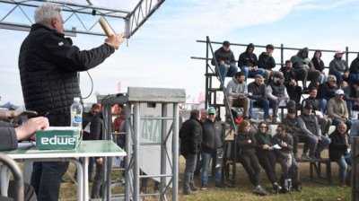 Ganadería a pleno en AgroActiva: remates, genética y negocios que marcan la agenda