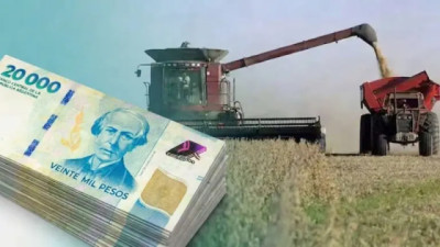 M. Etchegaray: el RIMI baja 25-35% el costo real de toros y pivots si invierto entre mar 2026 y mayo 2028