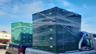 BASF y NODO continúan su alianza para recuperar alimentos y reducir el impacto ambiental