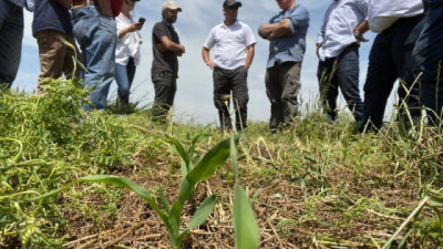 Ni ideales, ni rígidas, ni simples: ¿cómo repensar rotaciones ante un escenario incierto?