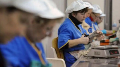 Baja la natalidad y sube el empleo informal de las Mujeres