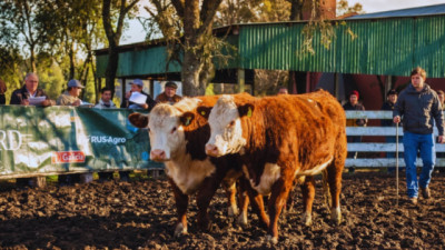 Pruebas pastoriles: una herramienta para evaluar reproductores en condiciones reales de producción