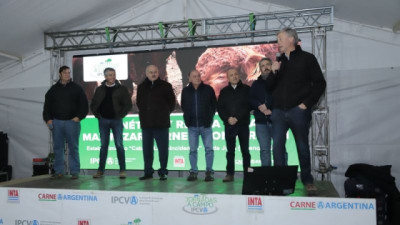Más de 400 productores participaron de la Jornada a campo del IPCVA en 9 de Julio