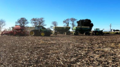 En Santa Fe la soja tardía, finalizó su ciclo y el trigo continuó sumando hectáreas sembradas