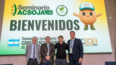 La industria aceitera pidió consolidar las reformas para recuperar la competitividad de la soja argentina