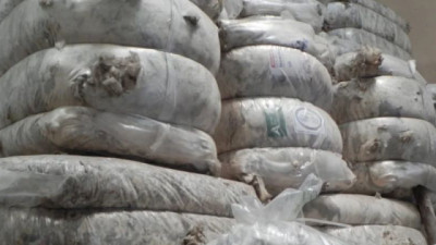 Con aumento de la oferta, el IME perdió 30 centavos al inicio de la zafra