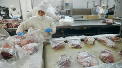 100% cumplido: Argentina colocó toda la Cuota Hilton 2025/26 y facturó USD 406 millones
