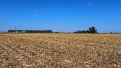 Asocian el manejo agrícola con cambios en el suelo y el carbono
