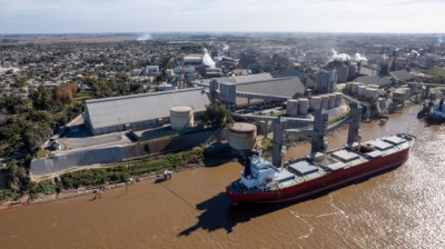 Molinos Agro expande su capacidad de crushing un 50% mediante un acuerdo con ACA