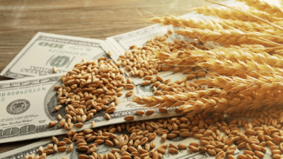 Exportaciones agroindustriales 2026: una mejora extendida, con motores diversos