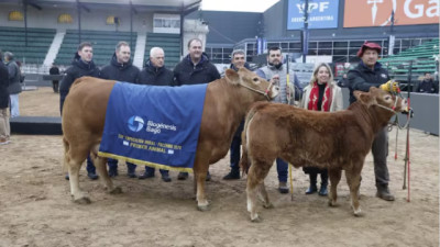 Tim Payne, Tini Tini y De Paul ya están en Palermo: llegaron los primeros animales a la Expo Rural