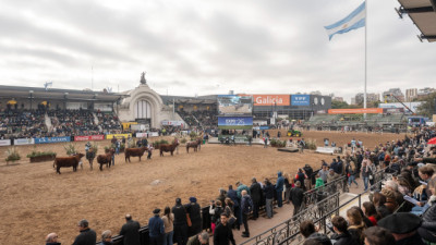 Arranca la Expo Rural 2026: 2.580 animales, 100 razas y propuestas para vacaciones