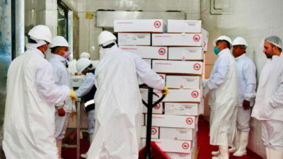 Chaco: Exportación de más de 20 toneladas de carne Caprina con destino a Omán