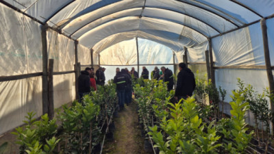 Se fortalece fiscalización de Viveros y la calidad y seguimiento del material de propagación vegetal