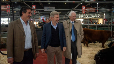 Frigerio lanzó un seguro multirriesgo para proteger la producción de maíz