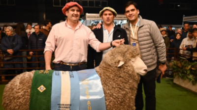Santa Cruz campeón en Palermo: la genética ovina alcanzó el máximo reconocimiento