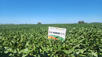 La marca líder en soja apuesta al potencial de rinde del cultivo con genética de punta y manejo de precisión