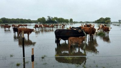 Planificación y documentación al día ante posibles inundaciones por el fenómeno de El Niño