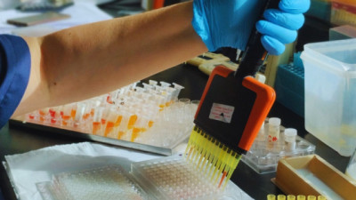 Fortalecen un laboratorio que es referencia mundial en tristeza bovina