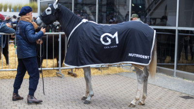 Un desarrollador de genética de polo y una marca de alimento deportivo que hizo su debut en La Rural