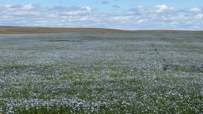 Adamant Agro: nueva unidad en Argentina para certificar materia prima agrícola low-CI a nivel global