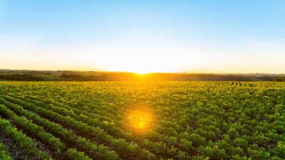 El agro puede impulsar el segundo semestre: hasta 44% más ingresos que en 2025