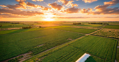 Aapresid 2026: BASF presenta tecnologías innovadoras integradas para potenciar resultados y cuidar el suelo
